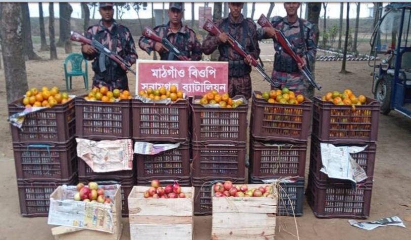 বিজিবির অভিযানে বিভিন্ন সীমান্তে সাড়ে ছয় লক্ষ টাকার ভারতীয় পন্য আটক