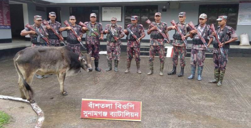 বিজিবি’র অভিযানে তিন লক্ষ টাকার অবৈধ পন্য আটক