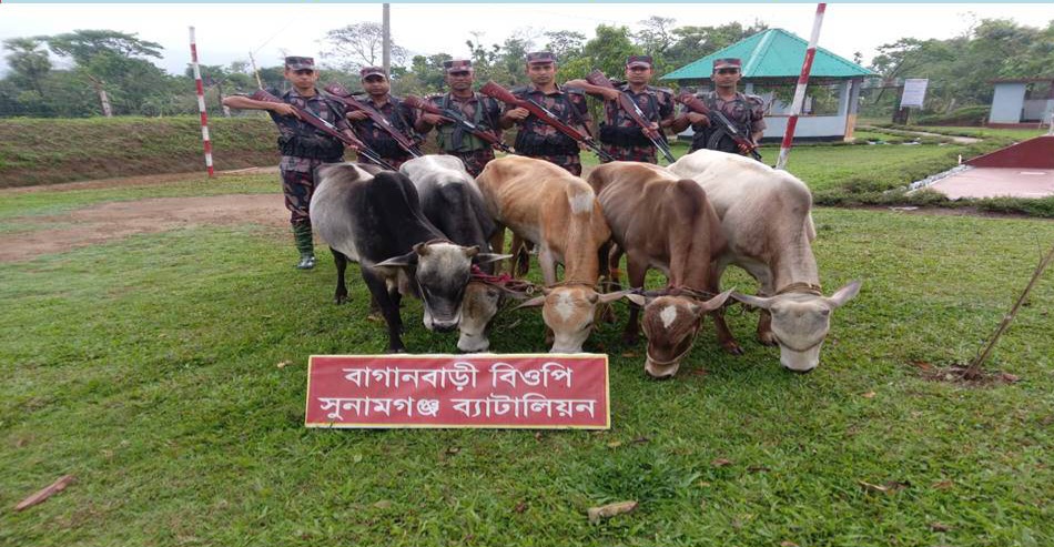 সীমান্তে ২৪ ঘন্টা অভিযানে প্রায় দশ লক্ষ টাকার অবৈধ পন্য জব্দ