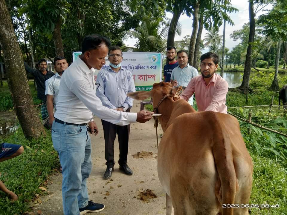 দোয়ারাবাজারে লাম্পি স্কীন ডিজিস প্রতিরোধ কল্পে ফ্রি ভ্যাক্সিনেশন ক্যাম্প অনুষ্ঠিত