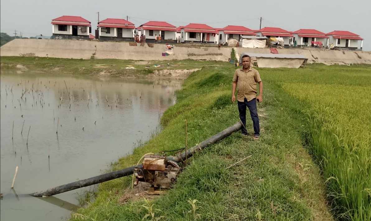 জলাশয় শুকিয়ে মাছ নিধন করছে একদল দুর্বৃত্ত