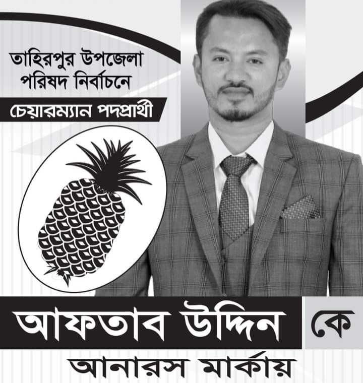 তাহিরপুর উপজেলা নির্বাচনে ভোটের মাঠ উৎসবমুখর করছে আনারস প্রতীক