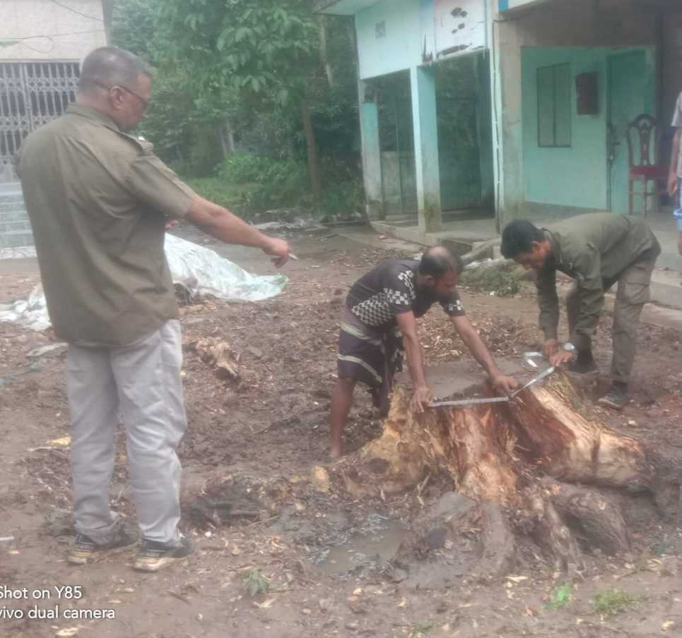 ছাতকে সরকারি গাছ বিক্রয় করায় ইউএনও বরাবর অভিযোগ