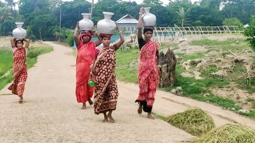 জামালগঞ্জে টিউবওয়েল ছাড়া গ্রাম, পুকুরের পানিই ভরসা