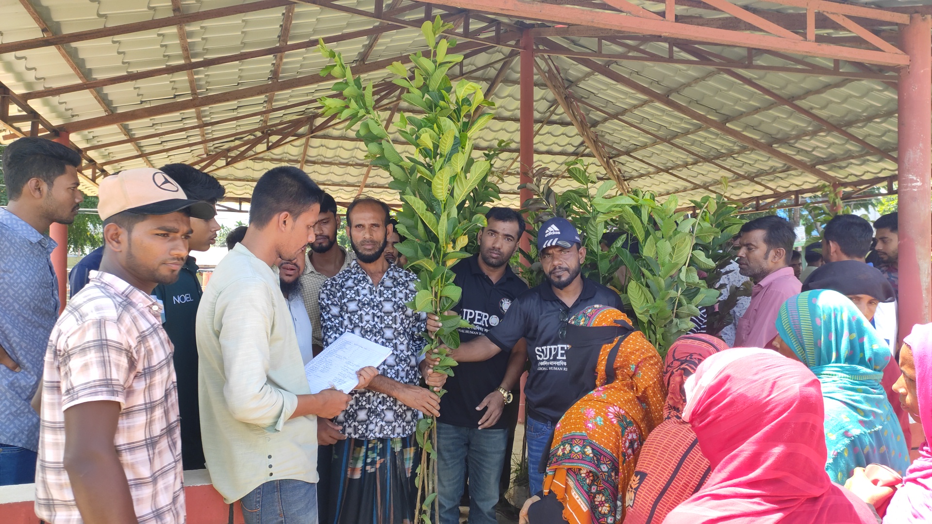 জামালগঞ্জে  বিনামূল্যে সুপার সিক্সটির ৫শতাধিক চারাগাছ বিতরন 