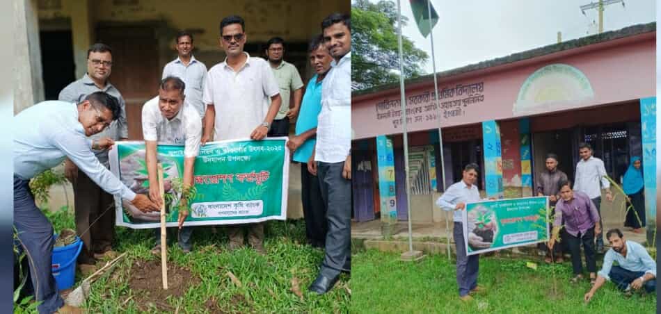 ছাতকের গোবিন্দগঞ্জ কৃষি ব্যাংক শাখার উদ্যোগে বৃক্ষরোপন কর্মসূচি